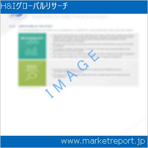市場と産業調査レポートのイメージ